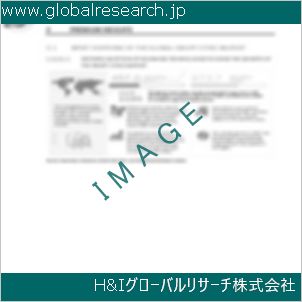 グローバルリサーチ調査資料のイメージ